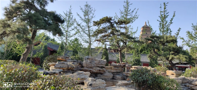 resize,w_768.webp