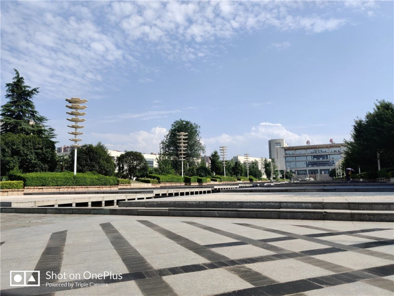 resize,w_768.webp