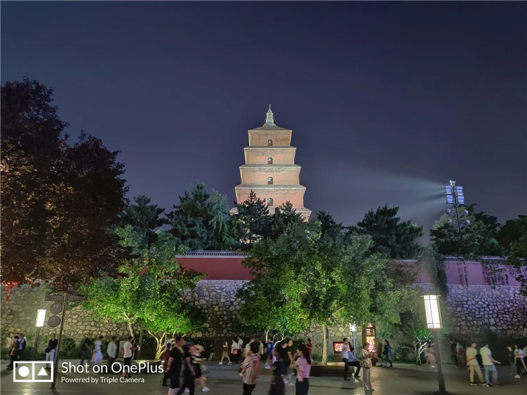 resize,w_768.webp