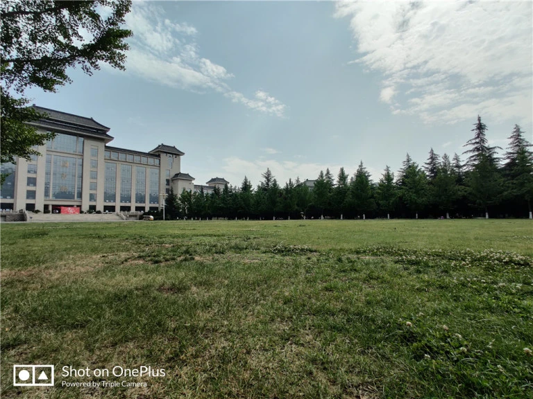 resize,w_768.webp