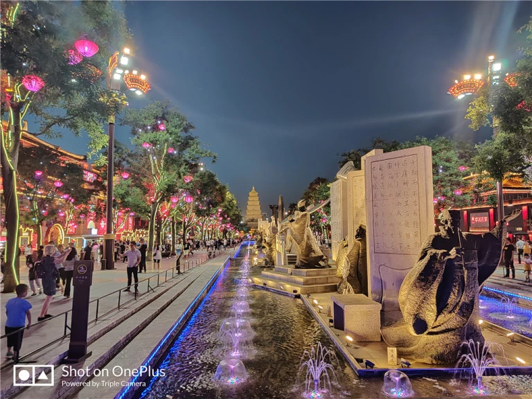 resize,w_768.webp