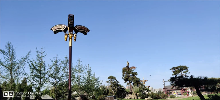 resize,w_768.webp
