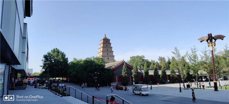resize,w_768.webp