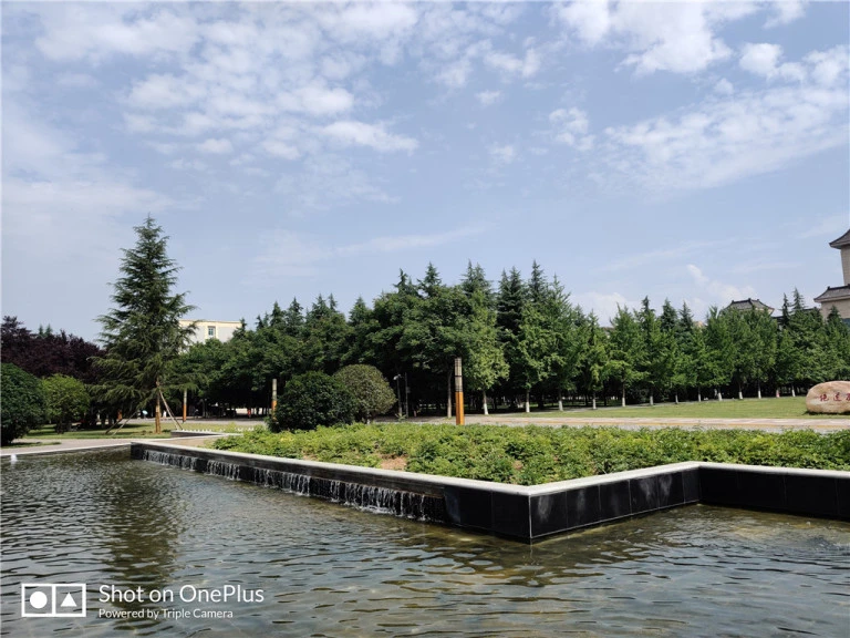 resize,w_768.webp