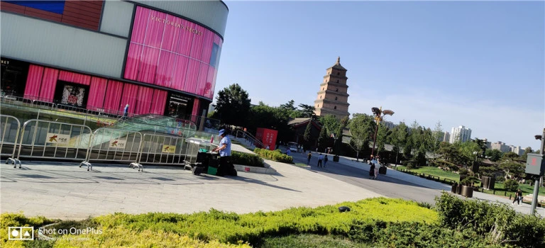 resize,w_768.webp