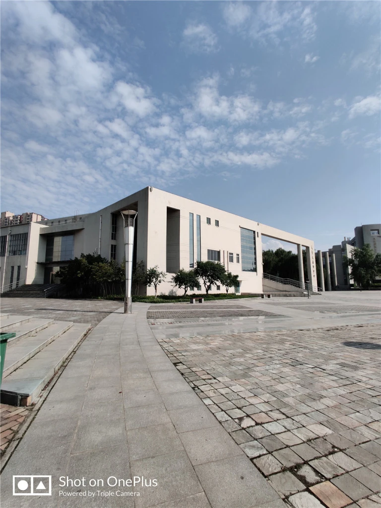 resize,w_768.webp