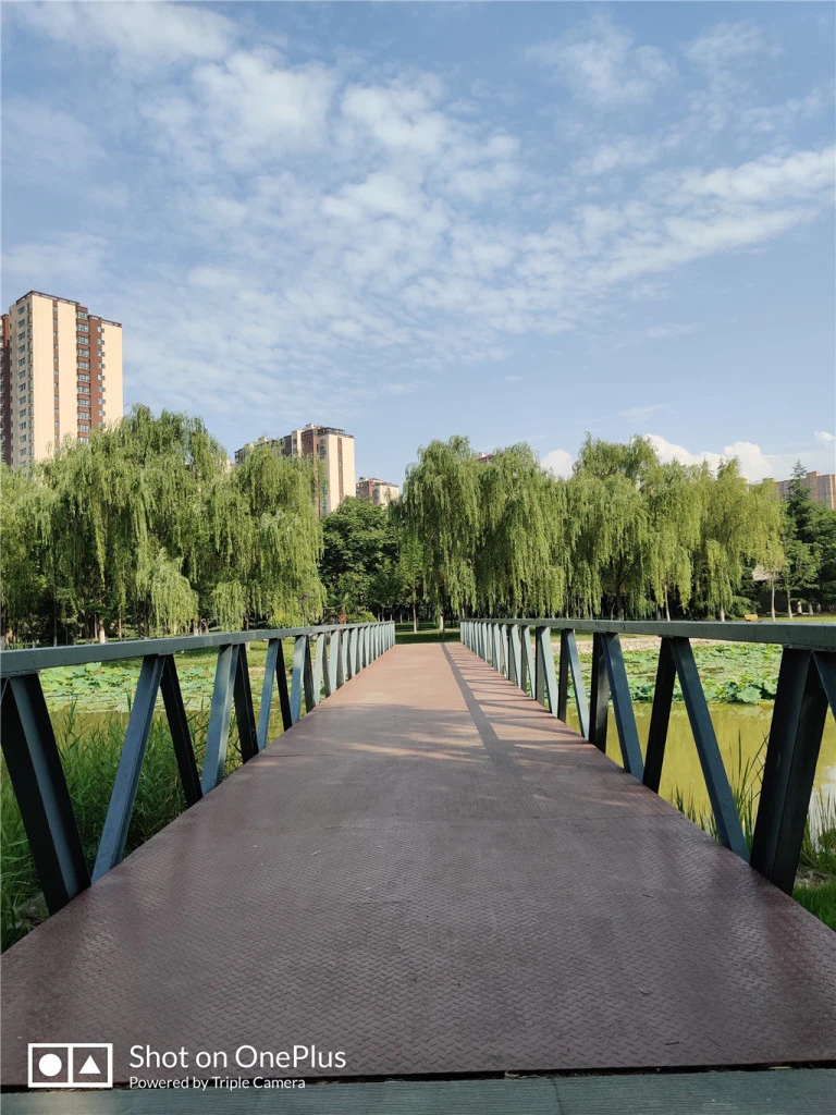 resize,w_768.webp