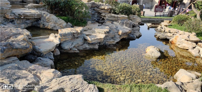 resize,w_768.webp