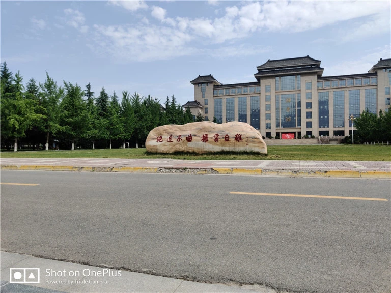resize,w_768.webp