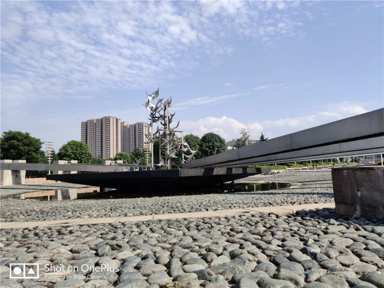 resize,w_768.webp