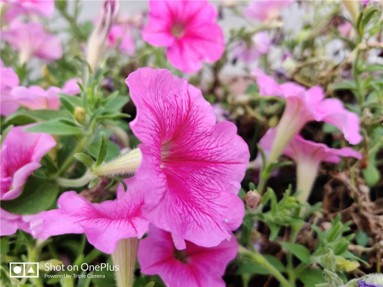 resize,w_768.webp