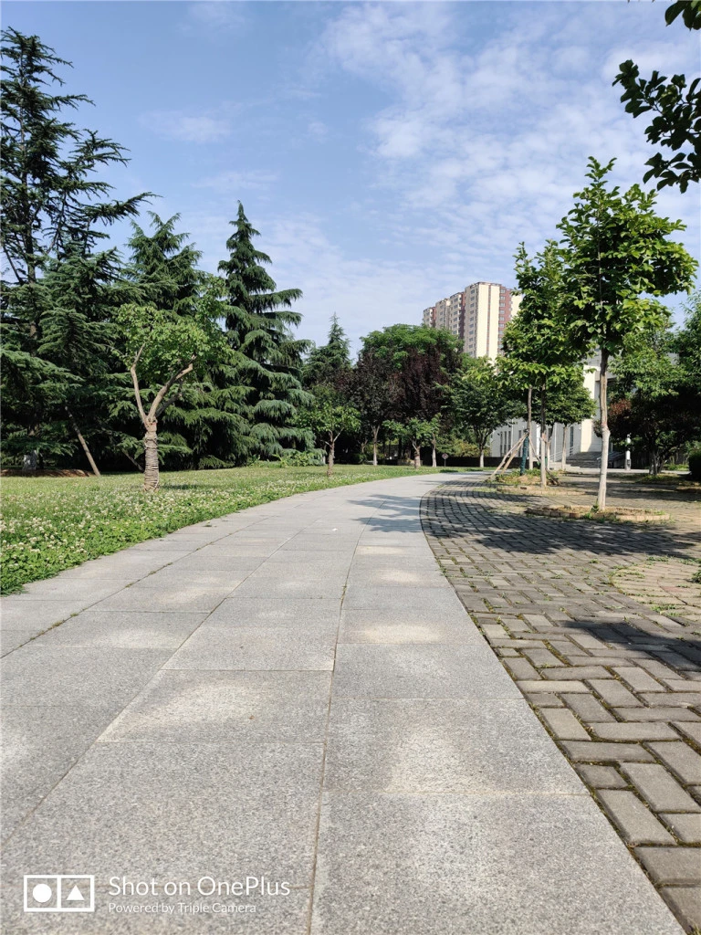 resize,w_768.webp