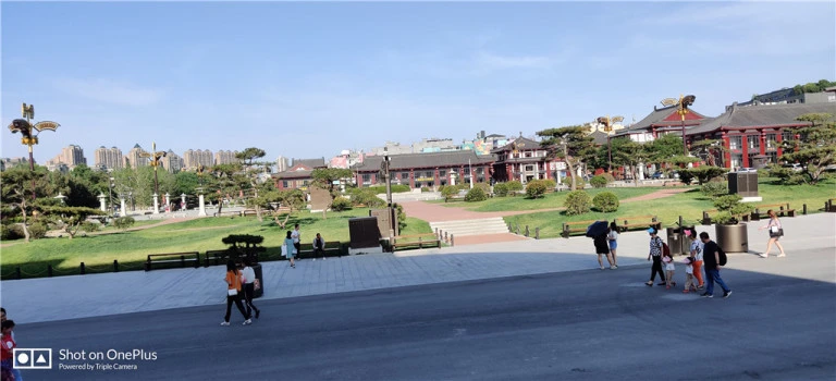 resize,w_768.webp