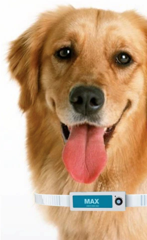 giRh-avxeafs0320710.webp