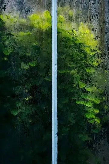 001Q9HNlgy1gjy8n5fzdyj60fo0ni41402.webp