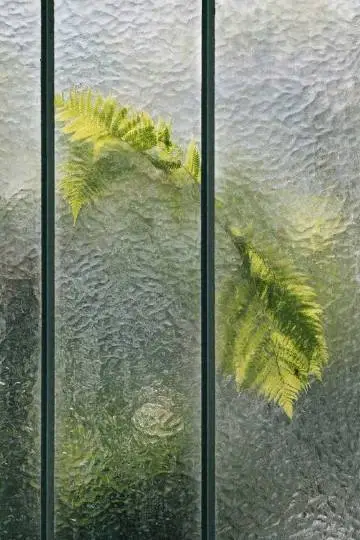 001Q9HNlgy1gjy8n20lirj60fo0ni41802.webp