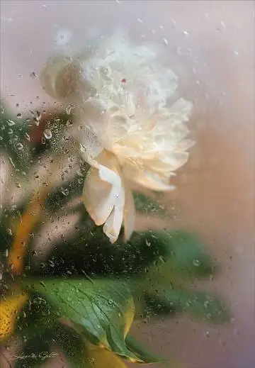 001Q9HNlgy1gjy8n1vv2hj60eg0ku75l02.webp