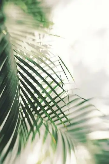 001Q9HNlgy1gjy8n5mde1j60fo0nijss02.webp