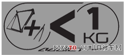 21454B545-9.webp