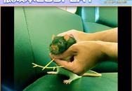 ?url=http%3A%2F%2Fbjnewsrec-cv.ws.126.net%2Fthree4323eeb4171j00qsbmvh001pc000hs00h0g.jpg