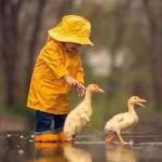 ?url=http%3A%2F%2Fdingyue.ws.126.net%2F2021%2F0512%2F3d0d0642j00qsytfv0004c000460046c.jpg