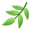w_weifeng-6dce9bef03.webp