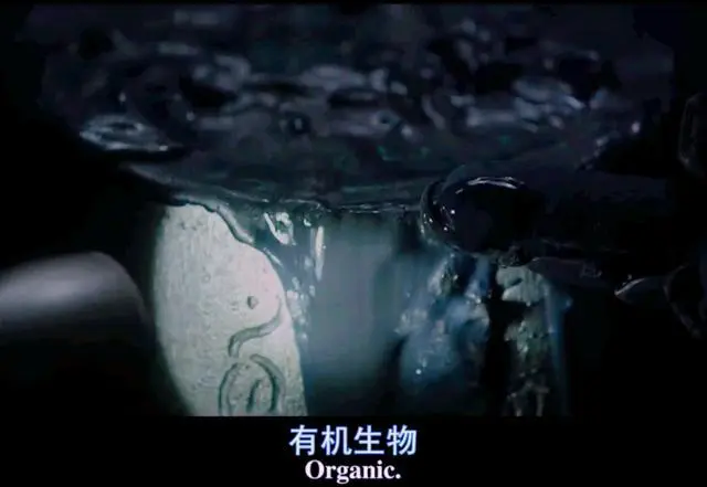 ?url=http%3A%2F%2Fdingyue.ws.126.net%2F2021%2F0919%2Fe0bfe019j00qznc4h000oc000hs00c9g.webp