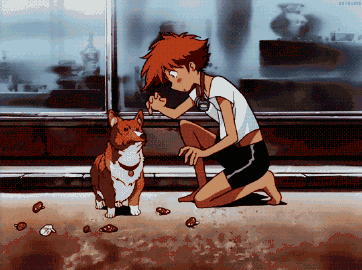 004h1Syhgy1gut6cuv4qtg60f00b7e8502.gif