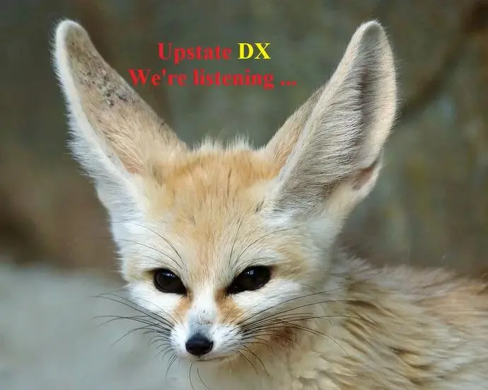 ?url=http%3A%2F%2Fdingyue.ws.126.net%2F2021%2F0930%2F389bce34j00r08e5n002yd200sg00mrg00sg00mr.webp