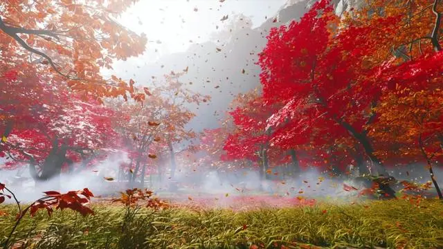 145732osrrg07dfgc2a440.webp