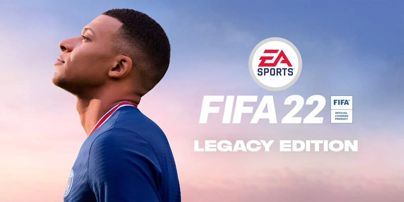 07ec07a4-fifa-222.webp