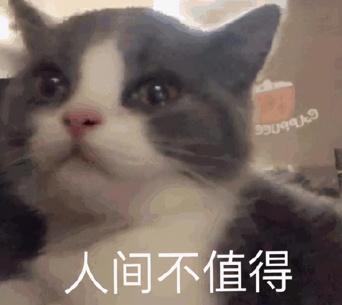 ?url=http%3A%2F%2Fdingyue.ws.126.net%2F2021%2F1020%2F03b9d6a2j00r19kdd003qc000og00lsm.jpg