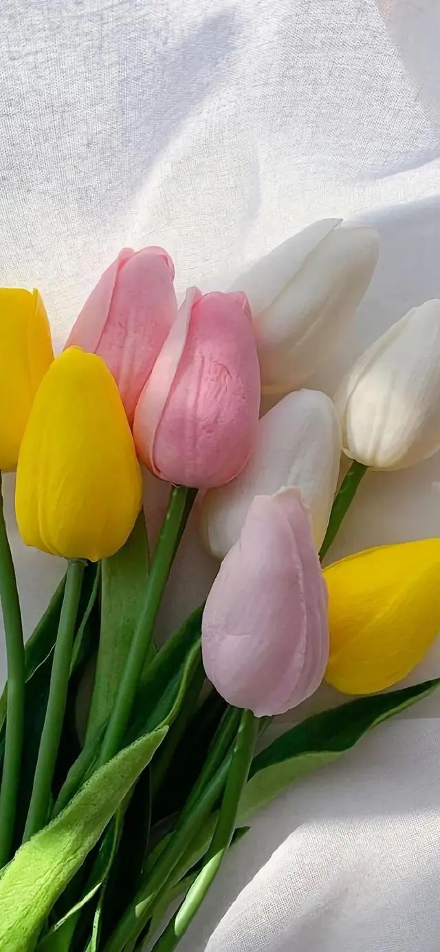 ?url=http%3A%2F%2Fdingyue.ws.126.net%2F2021%2F1026%2Ff9e33836j00r1jwo70031c000hs012hg.webp