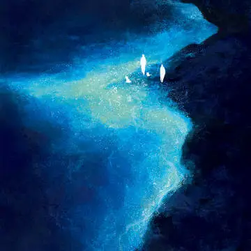 001Q9HNlgy1gvwb5x6dsfj60jg0jgwi702.webp