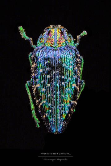 006YezONgy1gvwc254n8sj30j60sr78q.jpg