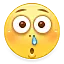 d_shayan-4e8000eba9.webp