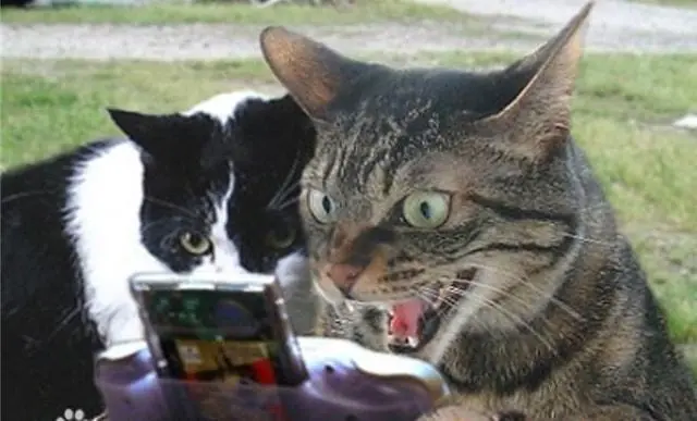 ?url=http%3A%2F%2Fdingyue.ws.126.net%2F2021%2F1204%2Ff463d03ej00r3kiyt001kc000hs00arm.webp
