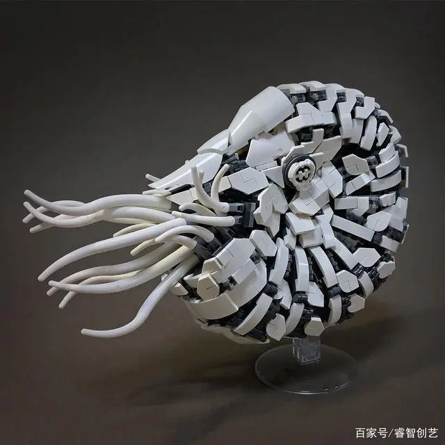 ?url=http%3A%2F%2Fdingyue.ws.126.net%2F2022%2F0119%2F079935f5j00r5yjcv001bc000hs00hsg.webp