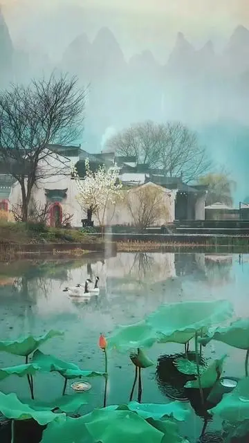 190322nbllgft0gzxrx8m8.webp