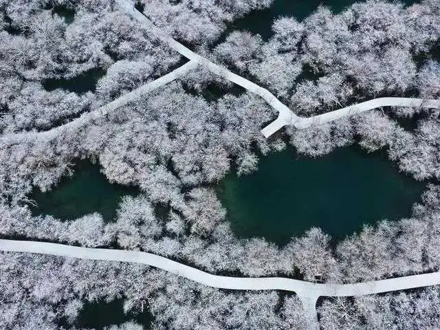 1645405603375_a7e6aa43j00r7lafs002qc000hs00dcg.webp