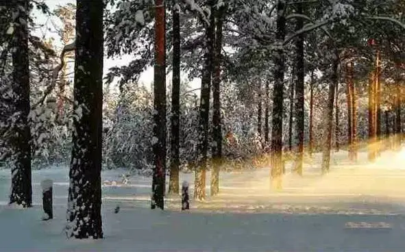 ?url=http%3A%2F%2Fdingyue.ws.126.net%2F2022%2F0108%2F324cdbd4j00r5eddz001cd200gf00a8g00fg009m.webp