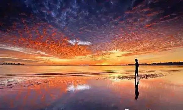 ?url=http%3A%2F%2Fdingyue.ws.126.net%2F2022%2F0220%2F9dc9e8ccj00r7kxqa000yd200go00a1g00go00a1.jpg