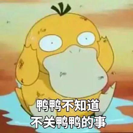?url=http%3A%2F%2Fdingyue.ws.126.net%2F2022%2F0524%2Fe65e22ebj00rcdkso000pc000c800c8c.jpg