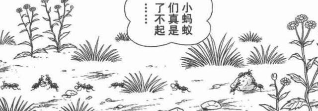 ?url=http%3A%2F%2Fdingyue.ws.126.net%2F2022%2F0527%2F0557e999j00rci3fk000rc000hs0067g.jpg