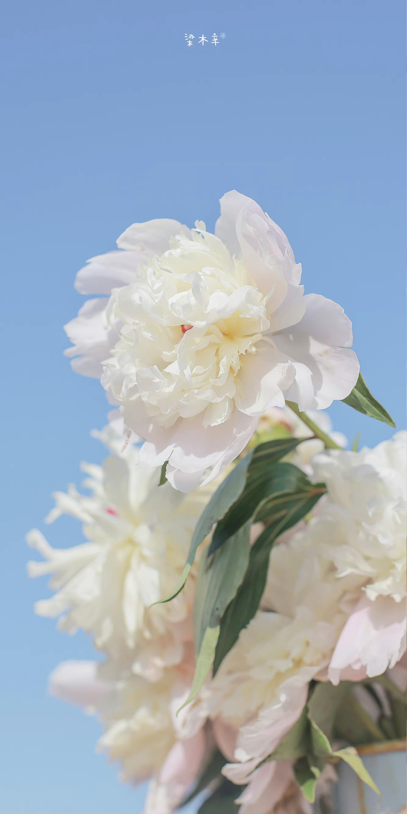 IMG_20220530_124344.webp