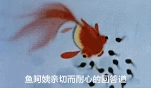 ?url=http%3A%2F%2Fdingyue.ws.126.net%2F2022%2F0531%2Fa75fdcd7g00rcqxdc00dod0008c004vp.jpg