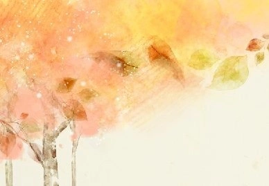 img-1661205648153c2bcd3e1beb8112007a31f182fe2502bcee68abd7afa0071e41a3433ed63f1e7.webp