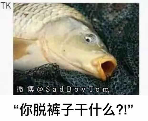 1660490897_571319.png