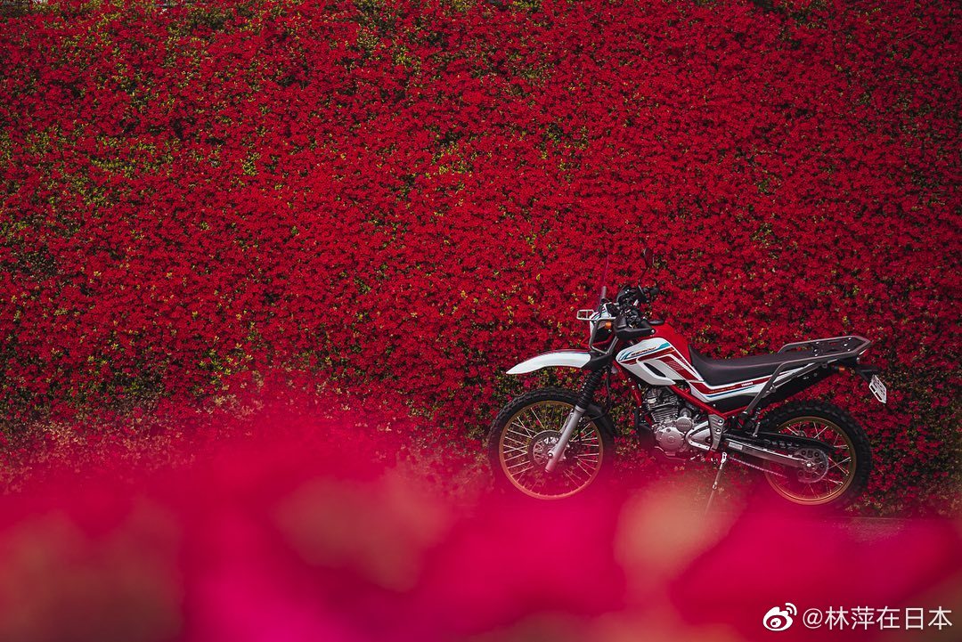 img-16628897883420b331a293dce4f3990f847190cd18c19f61c413fad4a3895fb101016dfda7d01.jpg