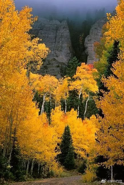IMG_20220917_104741.webp